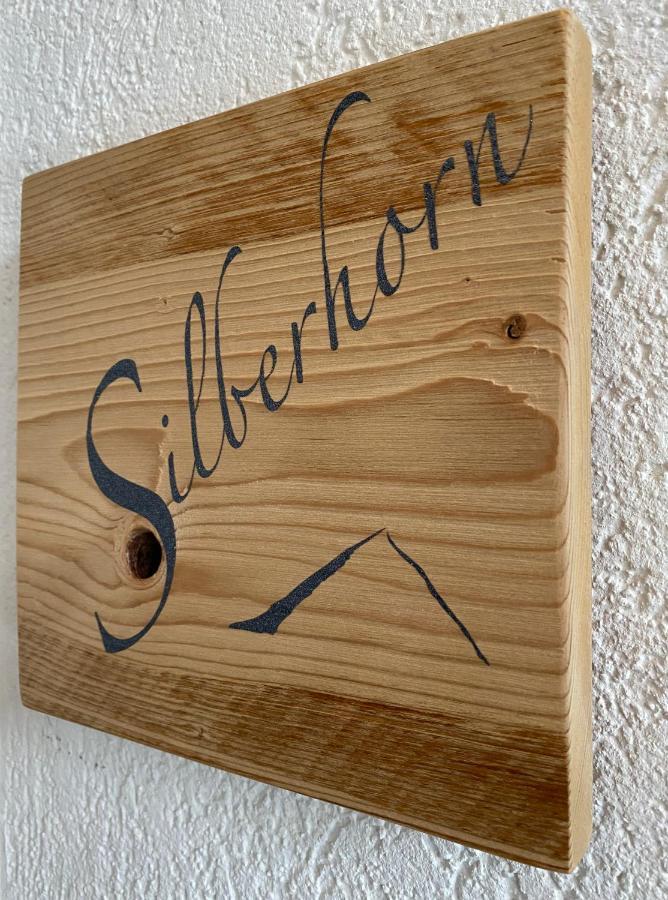 格林德瓦Silberhorn公寓 外观 照片